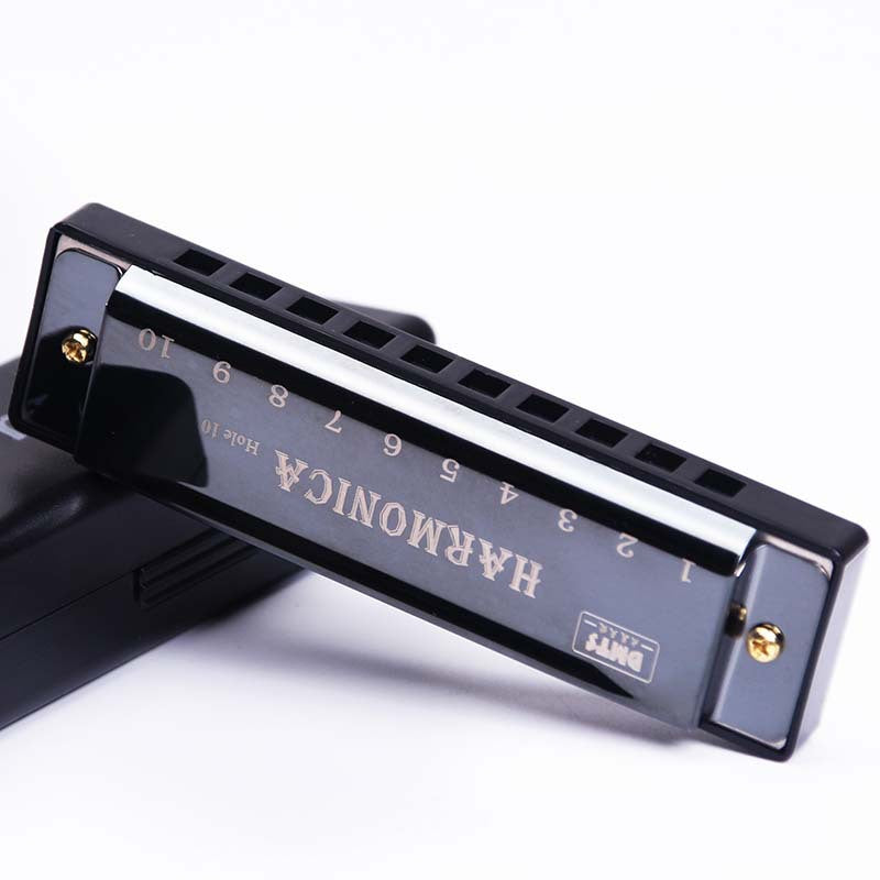 10-Hole Blues Harmonica for Kids and Beginners