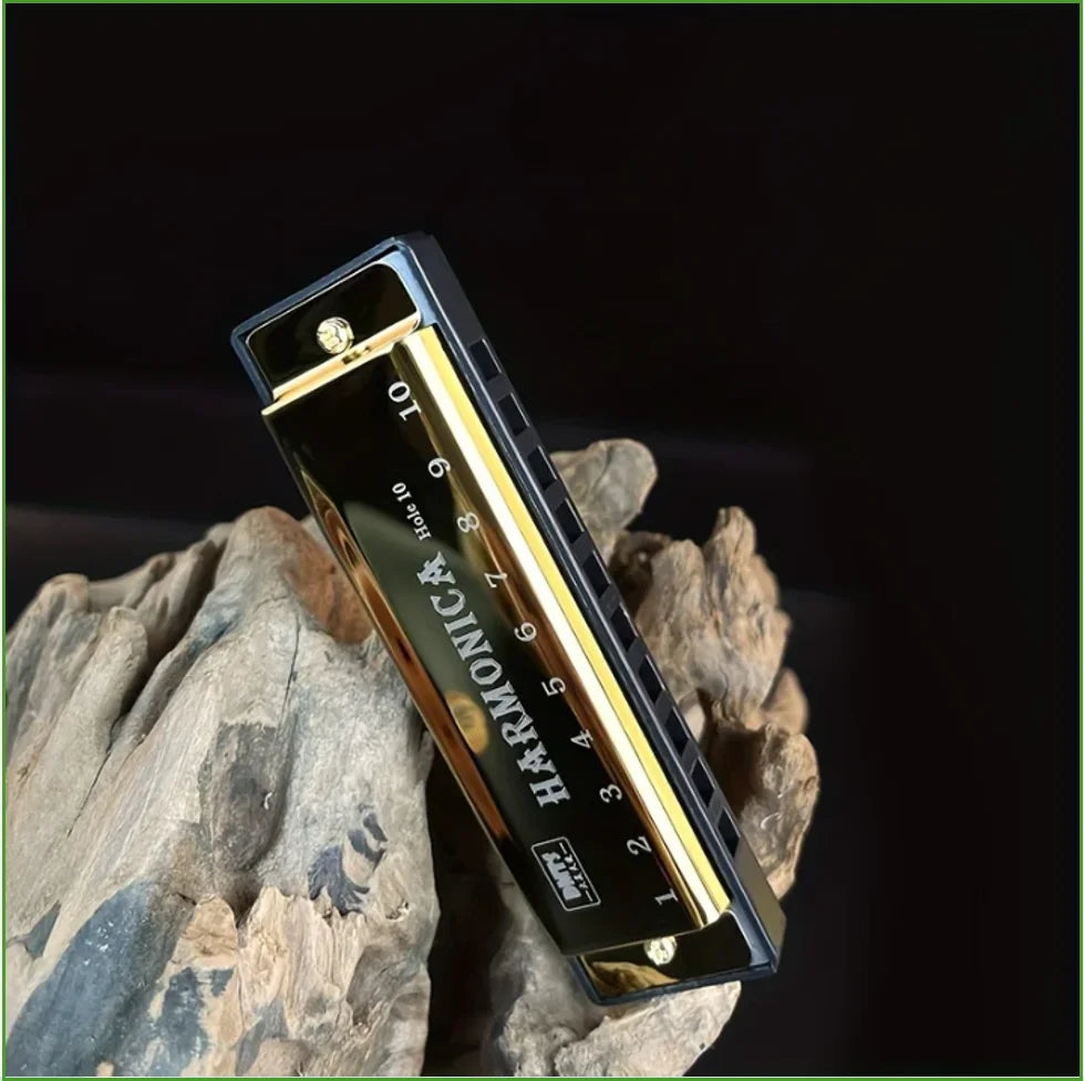 Harmonica Key of C 10 Hole Diatonic Harmonica C with Case for Beginner Students Kids Gift with Case